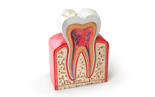 Endodontia Instituto Z